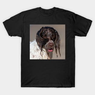 Welsh Springer T-Shirt